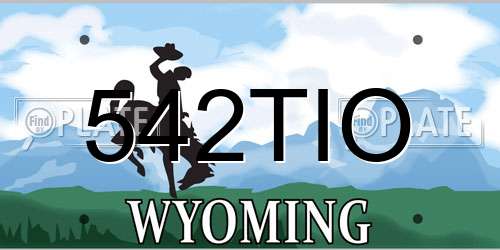 542TIO Wyoming License Plate