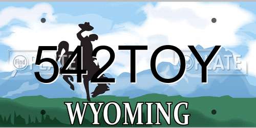 542TOY Wyoming License Plate
