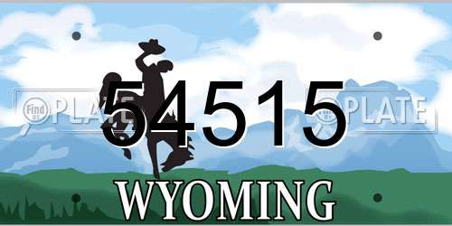 54515 Wyoming License Plate