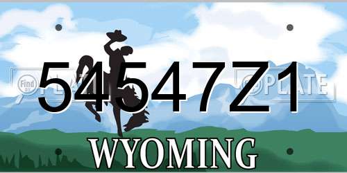 54547Z1 Wyoming License Plate