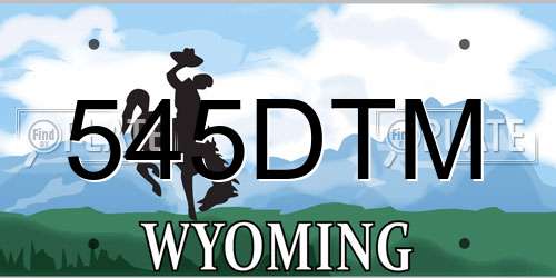 545DTM Wyoming License Plate