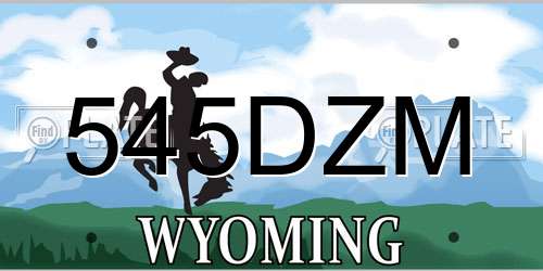 545DZM Wyoming License Plate