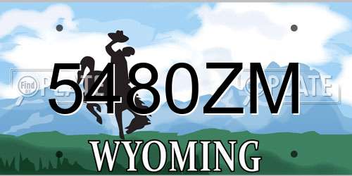 5480ZM Wyoming License Plate