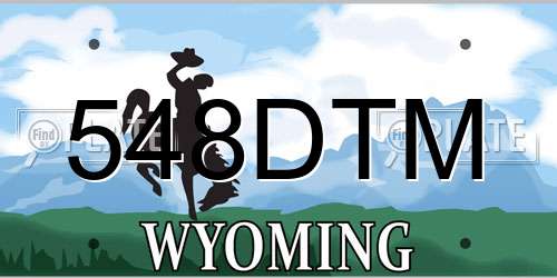 548DTM Wyoming License Plate