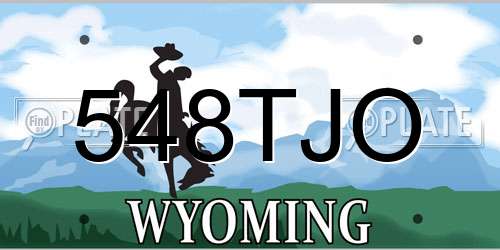 548TJO Wyoming License Plate
