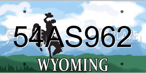 54AS962 Wyoming License Plate
