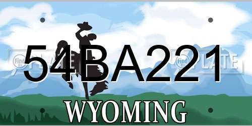54BA221 Wyoming License Plate