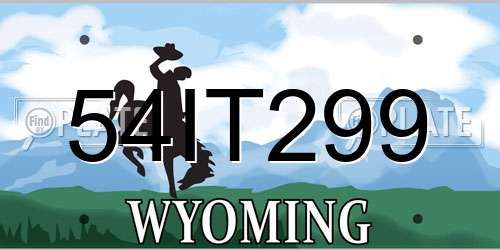 54IT299 Wyoming License Plate