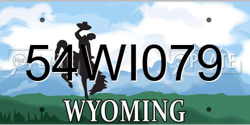 54WI079 Wyoming License Plate