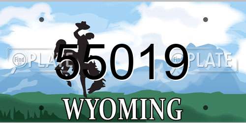 55019 Wyoming License Plate