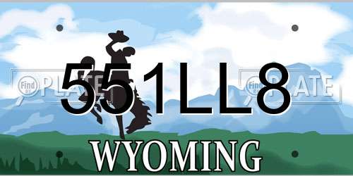 551LL8 Wyoming License Plate