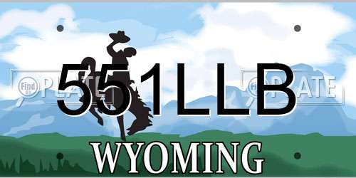 551LLB Wyoming License Plate