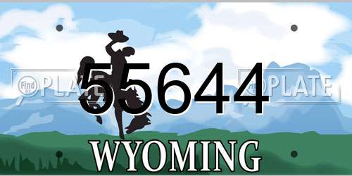55644 Wyoming License Plate