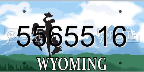 5565516 Wyoming License Plate