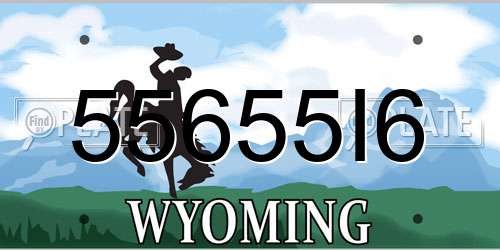 55655I6 Wyoming License Plate