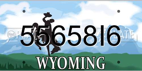 55658I6 Wyoming License Plate