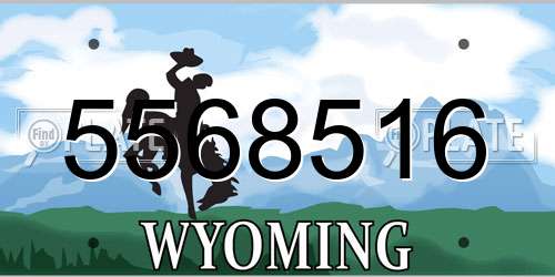 5568516 Wyoming License Plate