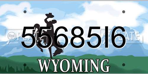 55685I6 Wyoming License Plate