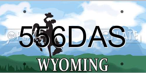 556DAS Wyoming License Plate