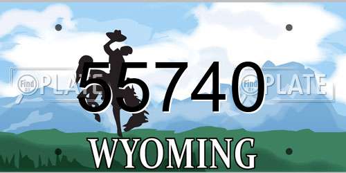 55740 Wyoming License Plate