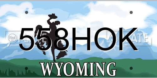 558HOK Wyoming License Plate