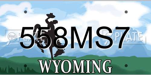 558MS7 Wyoming License Plate