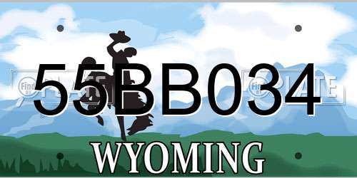 55BB034 Wyoming License Plate