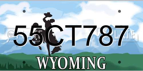 55CT787 Wyoming License Plate