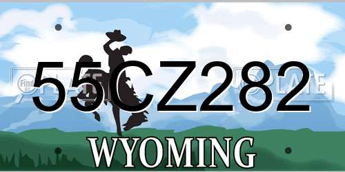 55CZ282 Wyoming License Plate