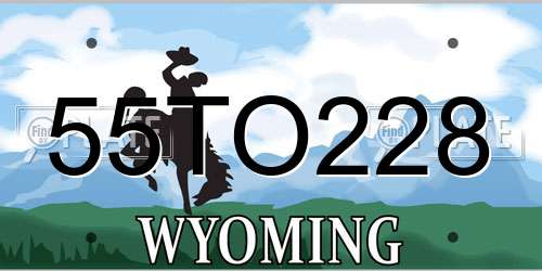 55TO228 Wyoming License Plate