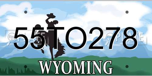 55TO278 Wyoming License Plate