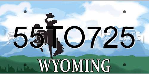 55TO725 Wyoming License Plate