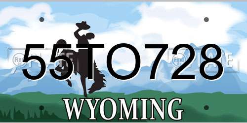 55TO728 Wyoming License Plate