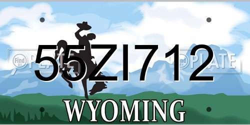 55ZI712 Wyoming License Plate