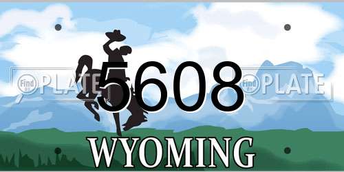 5608 Wyoming License Plate