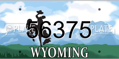 56375 Wyoming License Plate