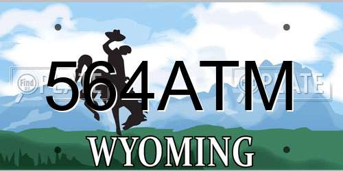 564ATM Wyoming License Plate