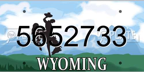 5652733 Wyoming License Plate