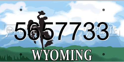 5657733 Wyoming License Plate