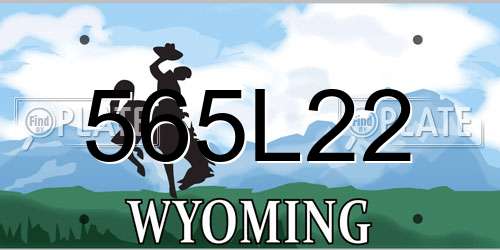 565L22 Wyoming License Plate