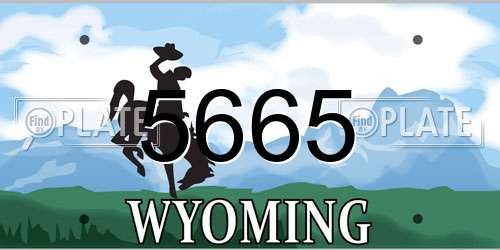 5665 Wyoming License Plate