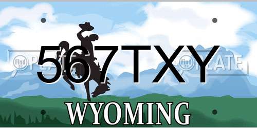567TXY Wyoming License Plate
