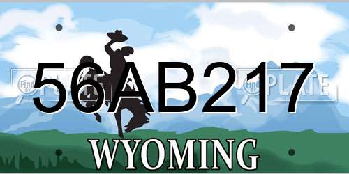 56AB217 Wyoming License Plate