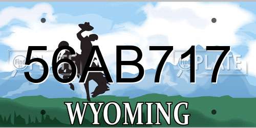 56AB717 Wyoming License Plate