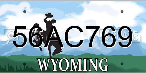 56AC769 Wyoming License Plate