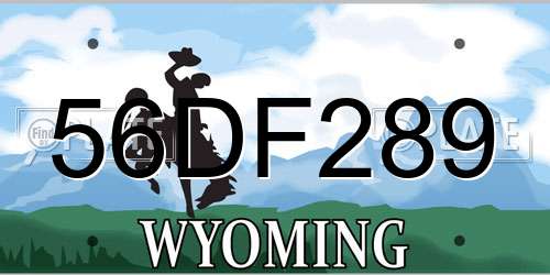 56DF289 Wyoming License Plate