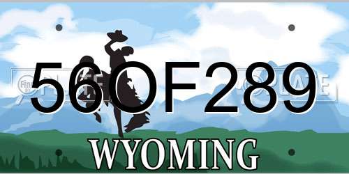 56OF289 Wyoming License Plate