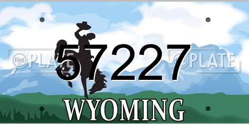 57227 Wyoming License Plate