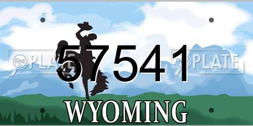 57541 Wyoming License Plate