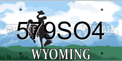 579SO4 Wyoming License Plate